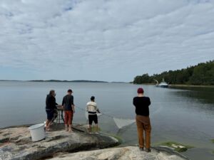Nuotanvetoa rantakalliolla, etualalla viisi henkilöä, taustalla vene ja saaristoa.