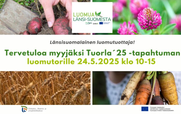 Banneri, jossa kuvituskuvia, hankkeen logot sekä tervetuloteksti.