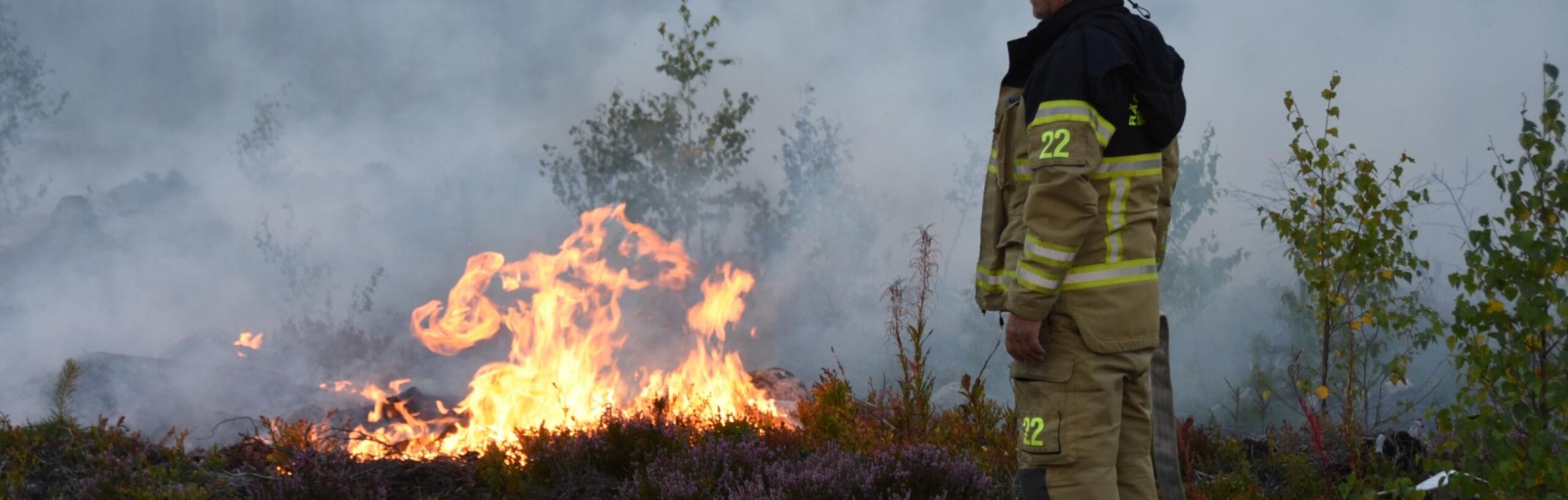 Palomies valvomassa tulta metsässä.