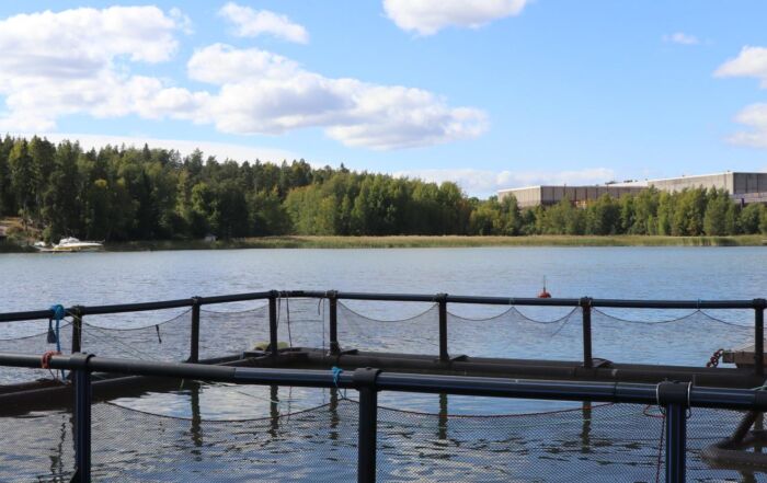 Kalankasvatusallas meressä.