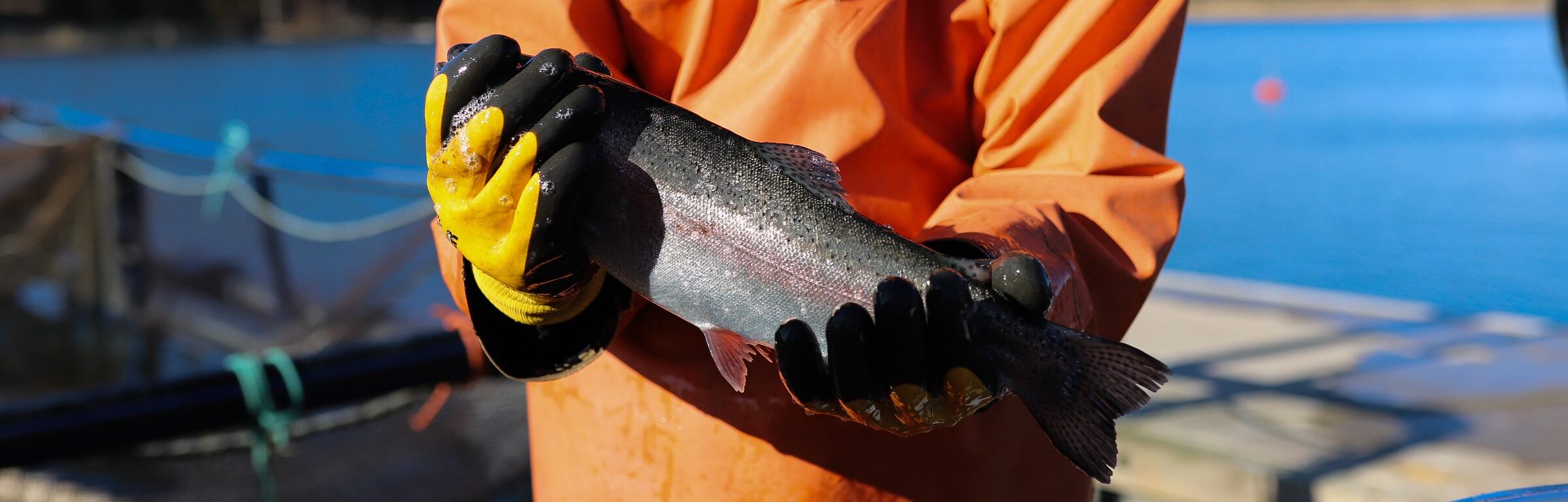 Oranssipukuinen henkilö pitelee suurta kalaa käsissään, taustalla saaristoa.