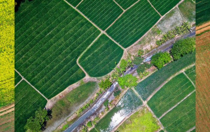 Lintuperspektiivistä kuvattuja peltolohkoja.
