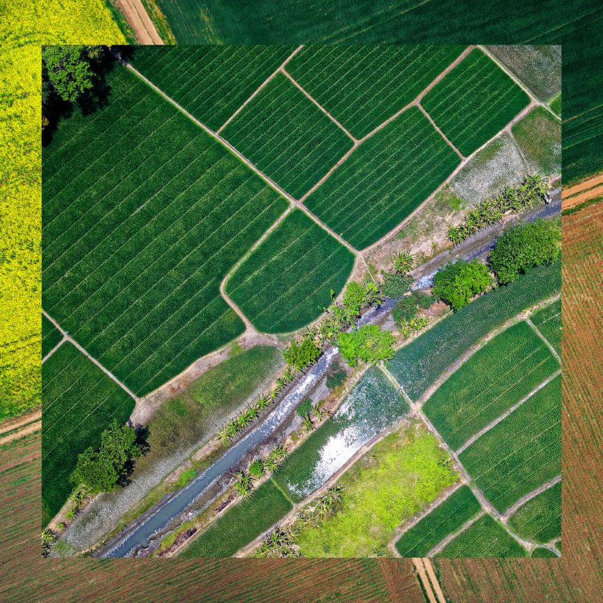 Lintuperspektiivistä kuvattuja peltolohkoja.