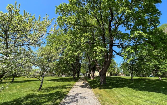 Polku viheriön ja puiden keskellä kohti kartanorakennusta.