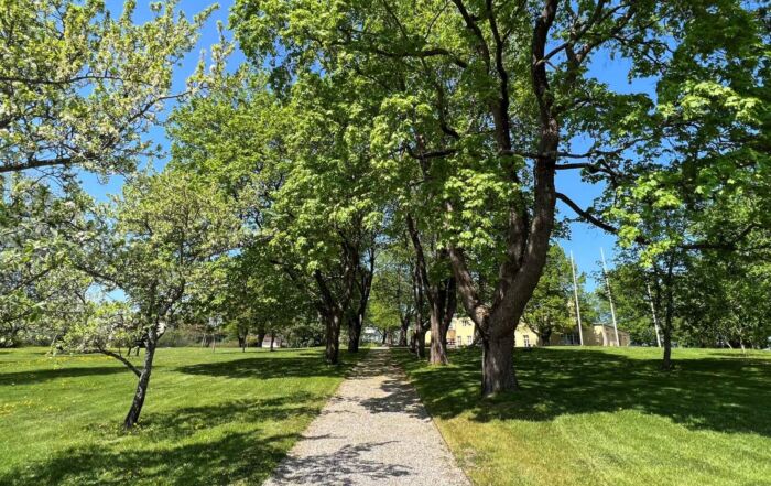 Polku viheriön ja puiden keskellä kohti kartanorakennusta.