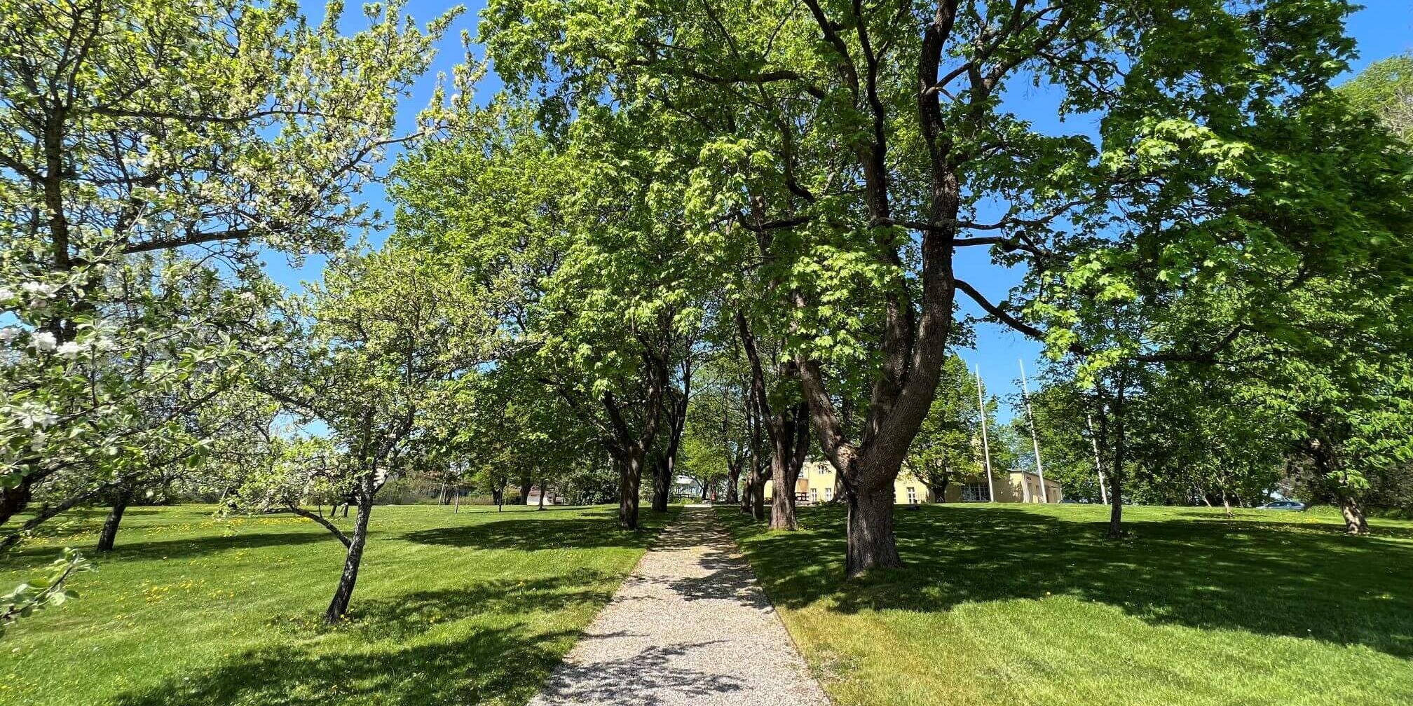 Polku viheriön ja puiden keskellä kohti kartanorakennusta.