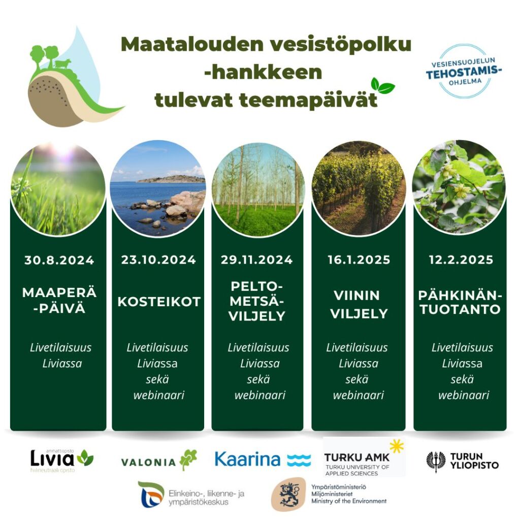 Infograafi hankkeen teemapäivistä.
