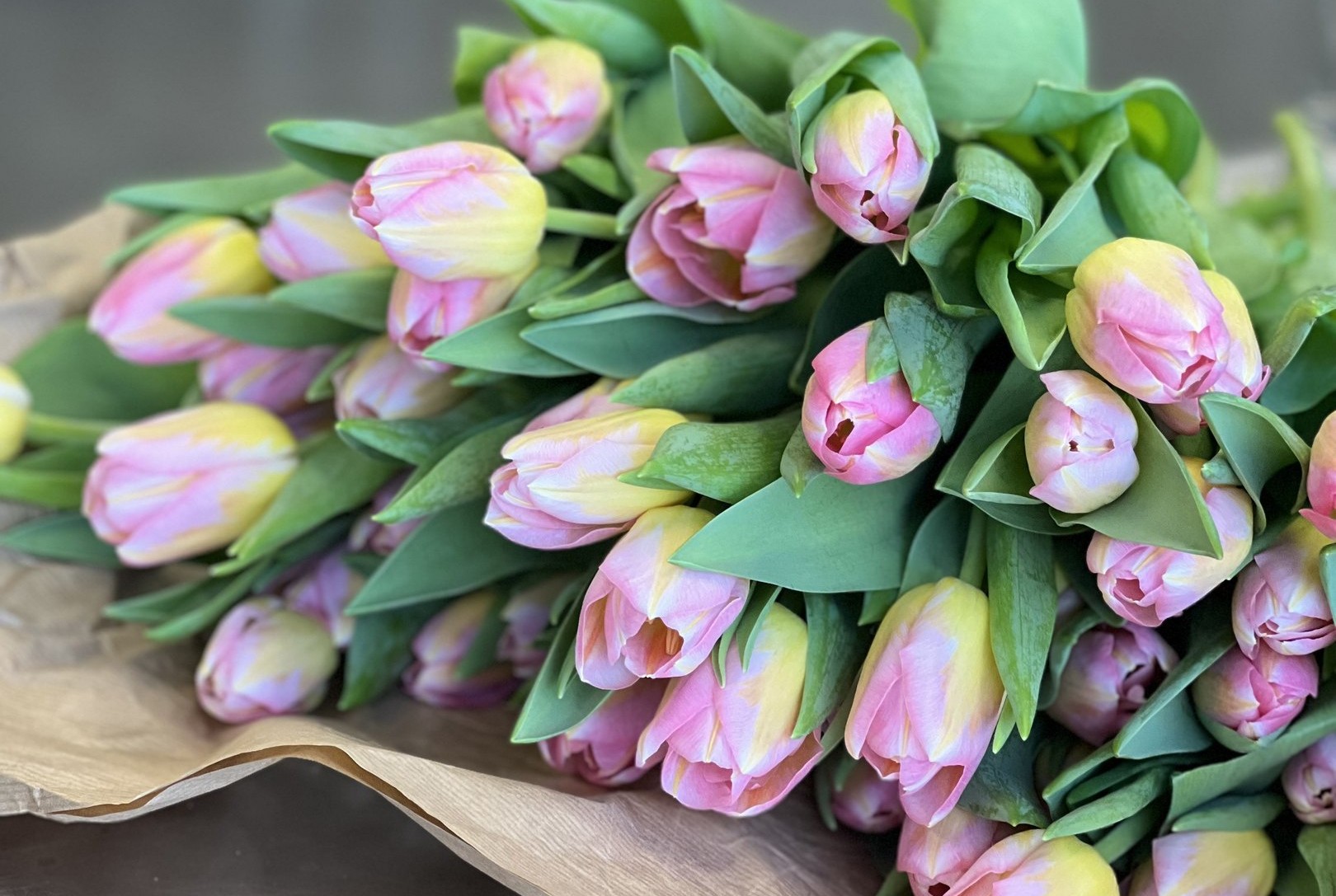 Kimppu vaaleanpunaisia tulppaaneja.