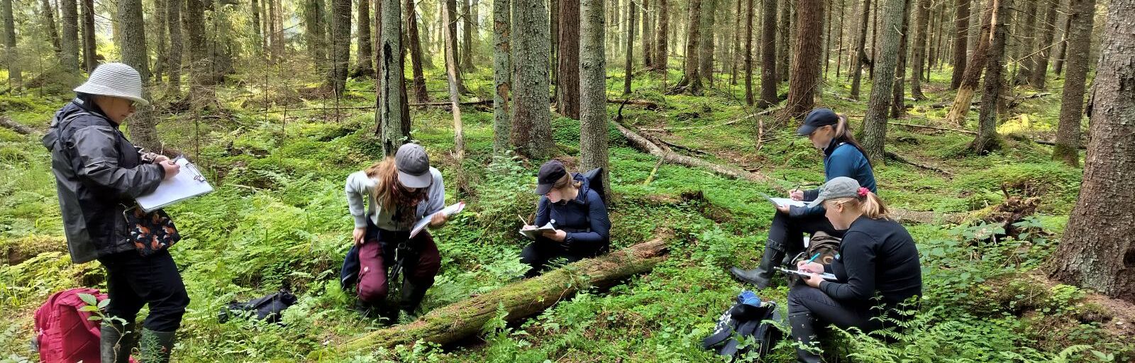 Luontokartoittajaopiskelijoita istumassa metsässä, havaintoja tehden.