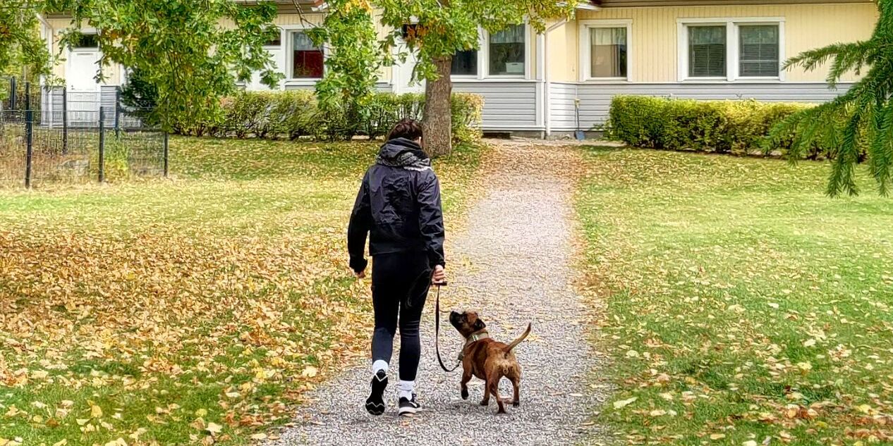 Koiraa ulkoiluttava henkilö pihatiellä, taustalla keltainen rakennus.