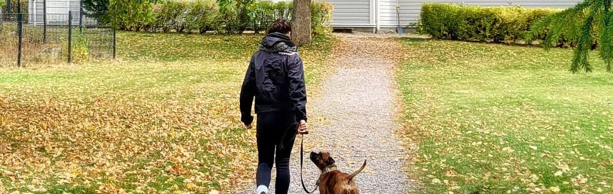 Koiraa ulkoiluttava henkilö pihatiellä, taustalla keltainen rakennus.