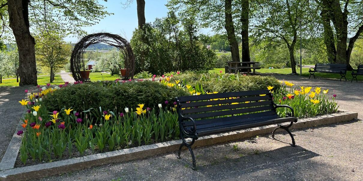 Puistomaisema tammilehdossa, etualalla penkki ja tulppaani-istutuksia.